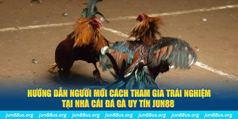 k8vn casino kèo nhà cái